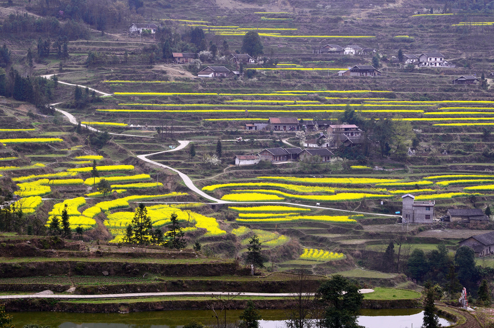 春到小山村