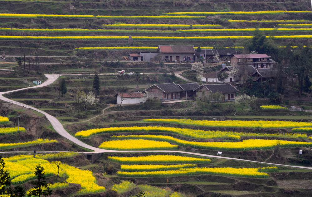 小山村之春