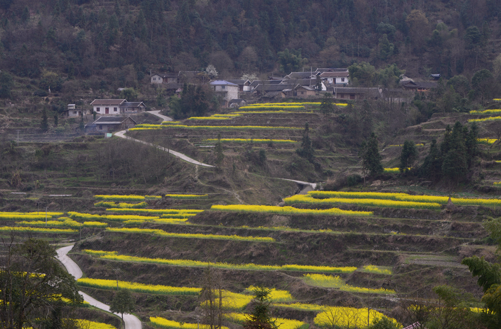 春到小山村