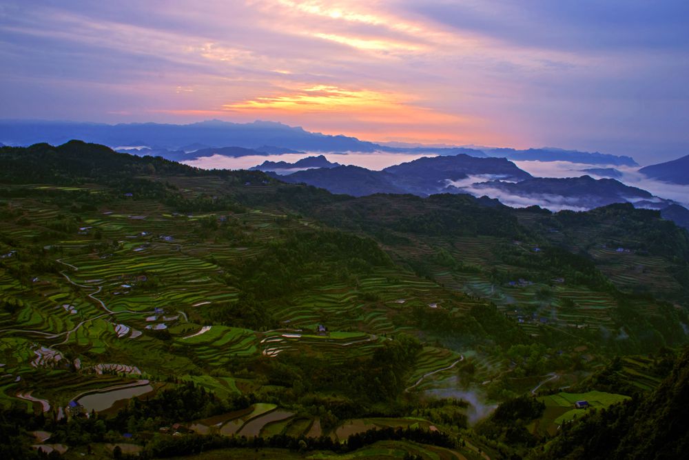 《龙凤梯田的早晨》之二