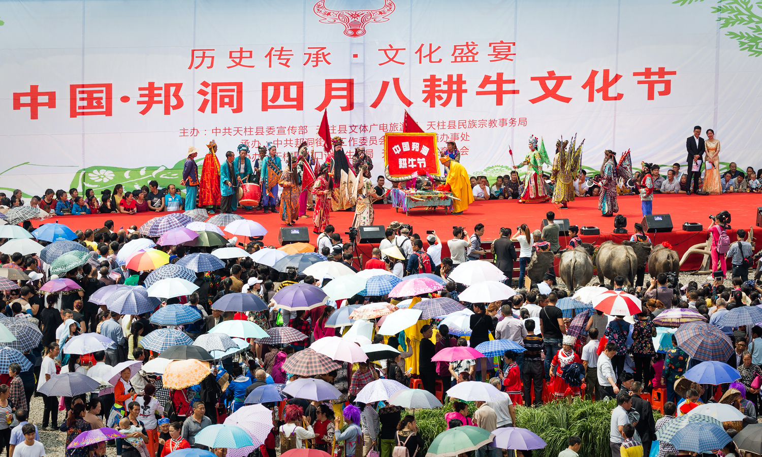 耕牛文化节