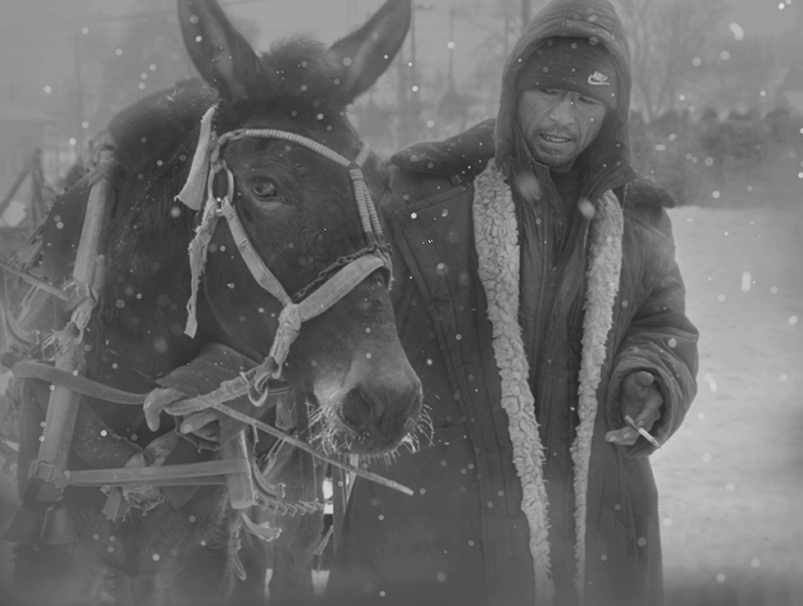 雪中马集