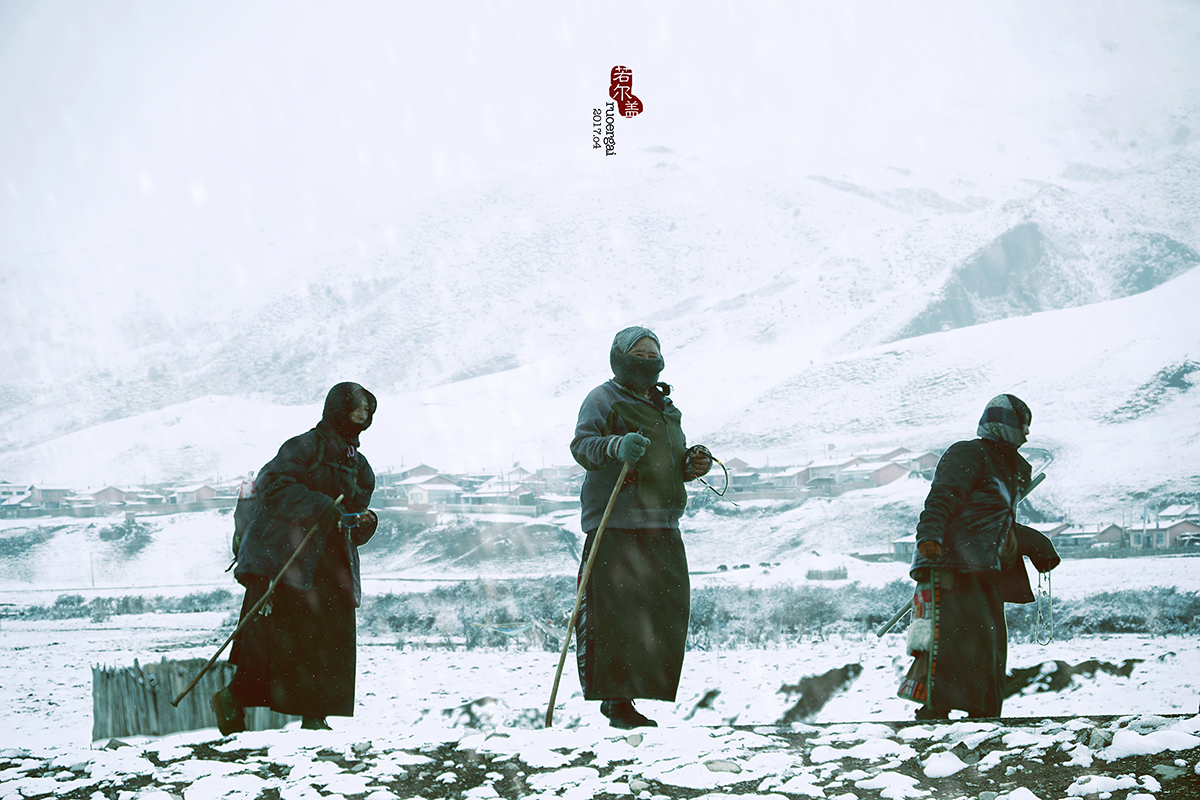 风雪若尔盖（二）
