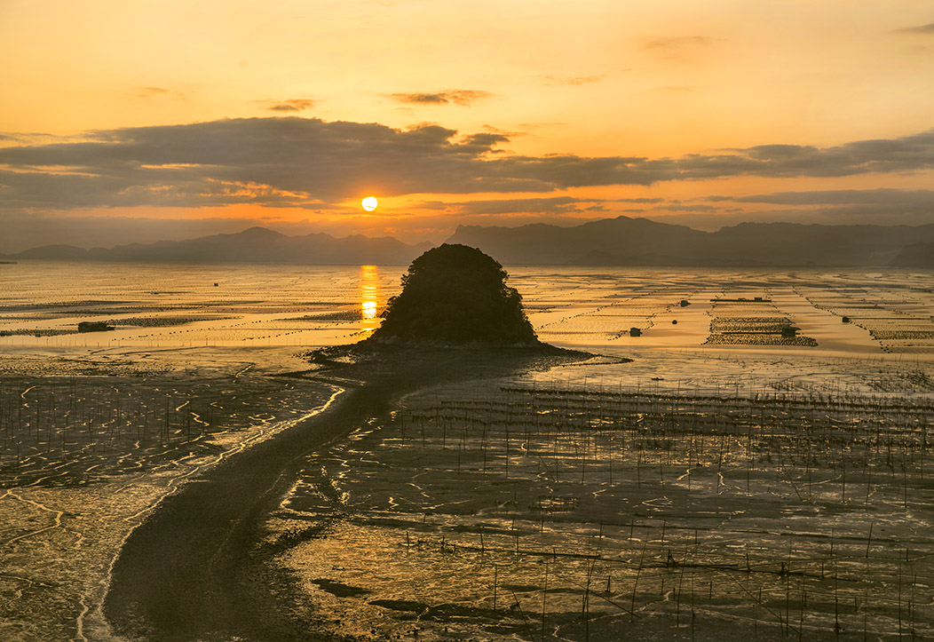 霞浦滩涂