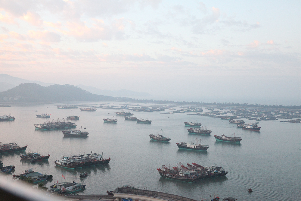 汕尾魚港