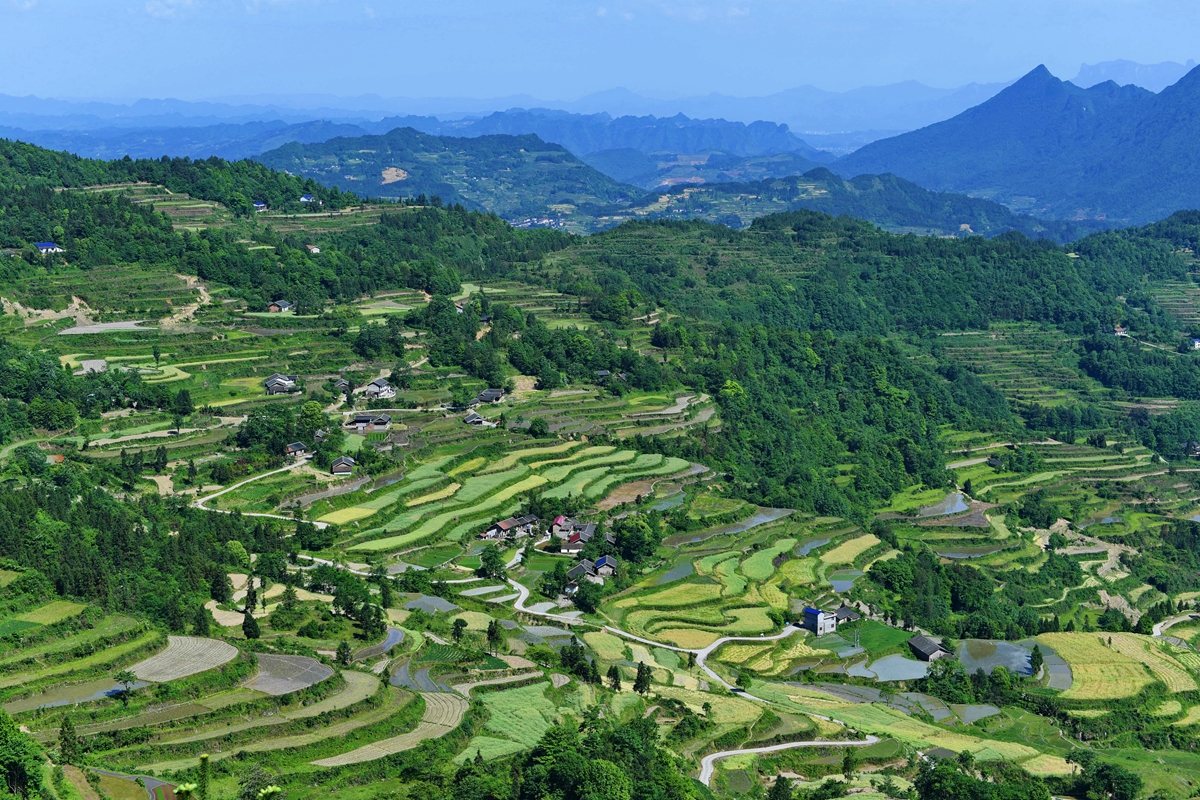 龙凤春色