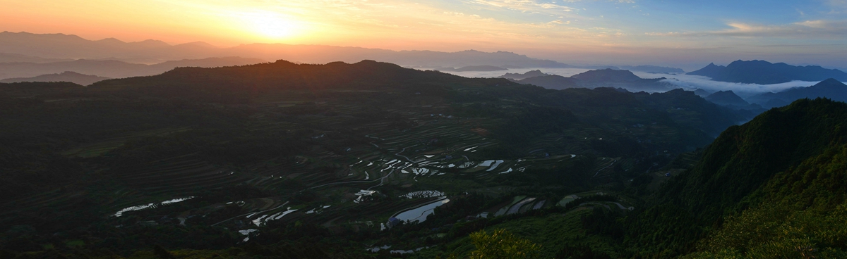 锦绣龙凤