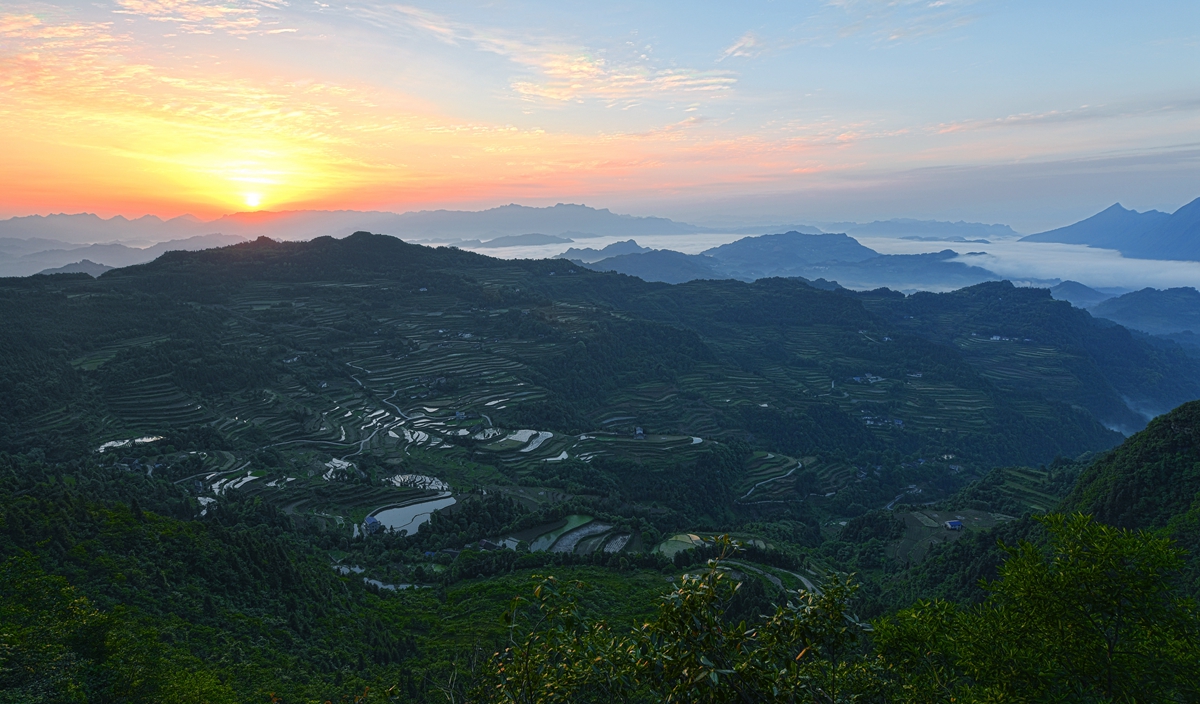 龙凤梯田