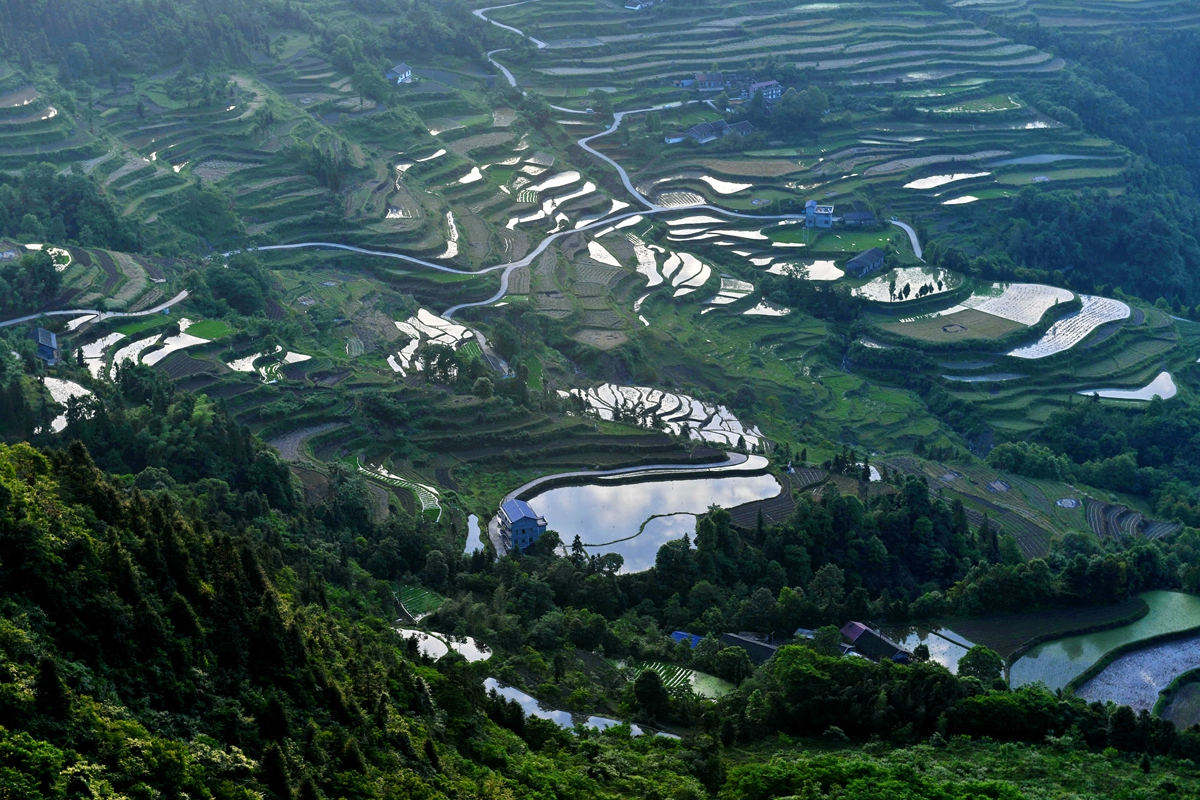 龙凤梯田