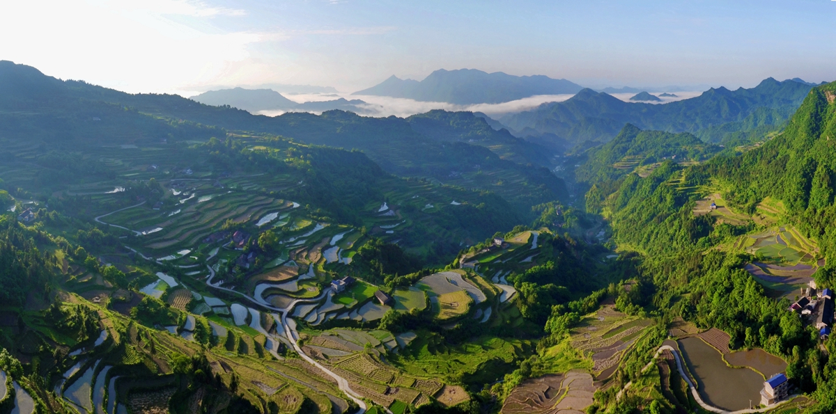 龙凤梯田