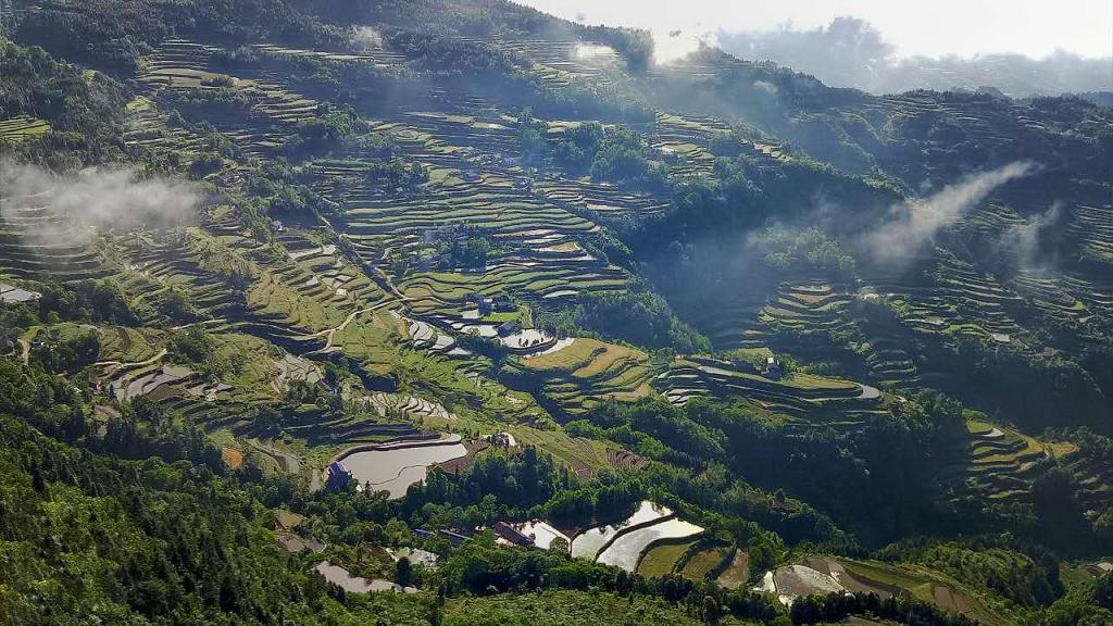龙凤晨曦