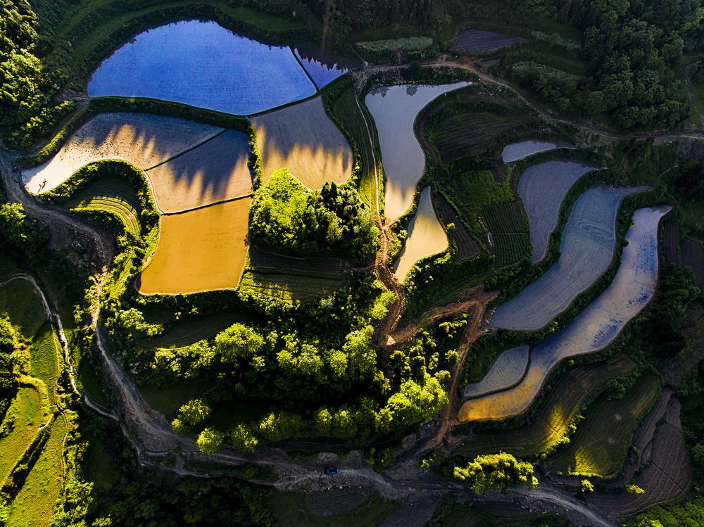 《七彩梯田》