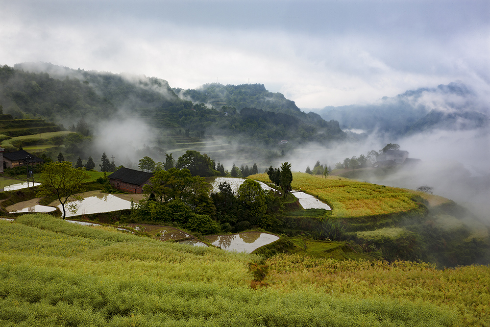 烟雨龙凤