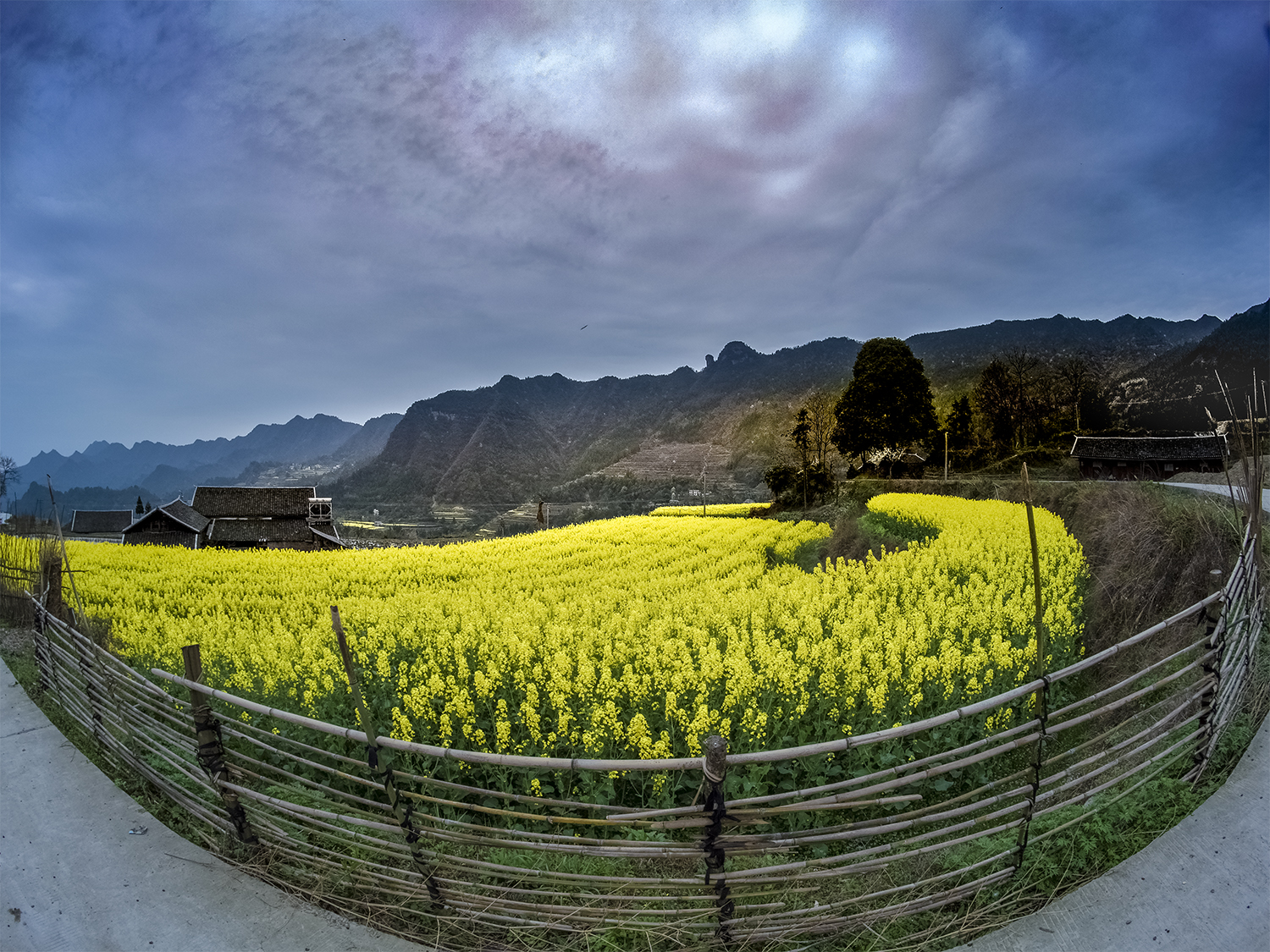 龙凤梯田