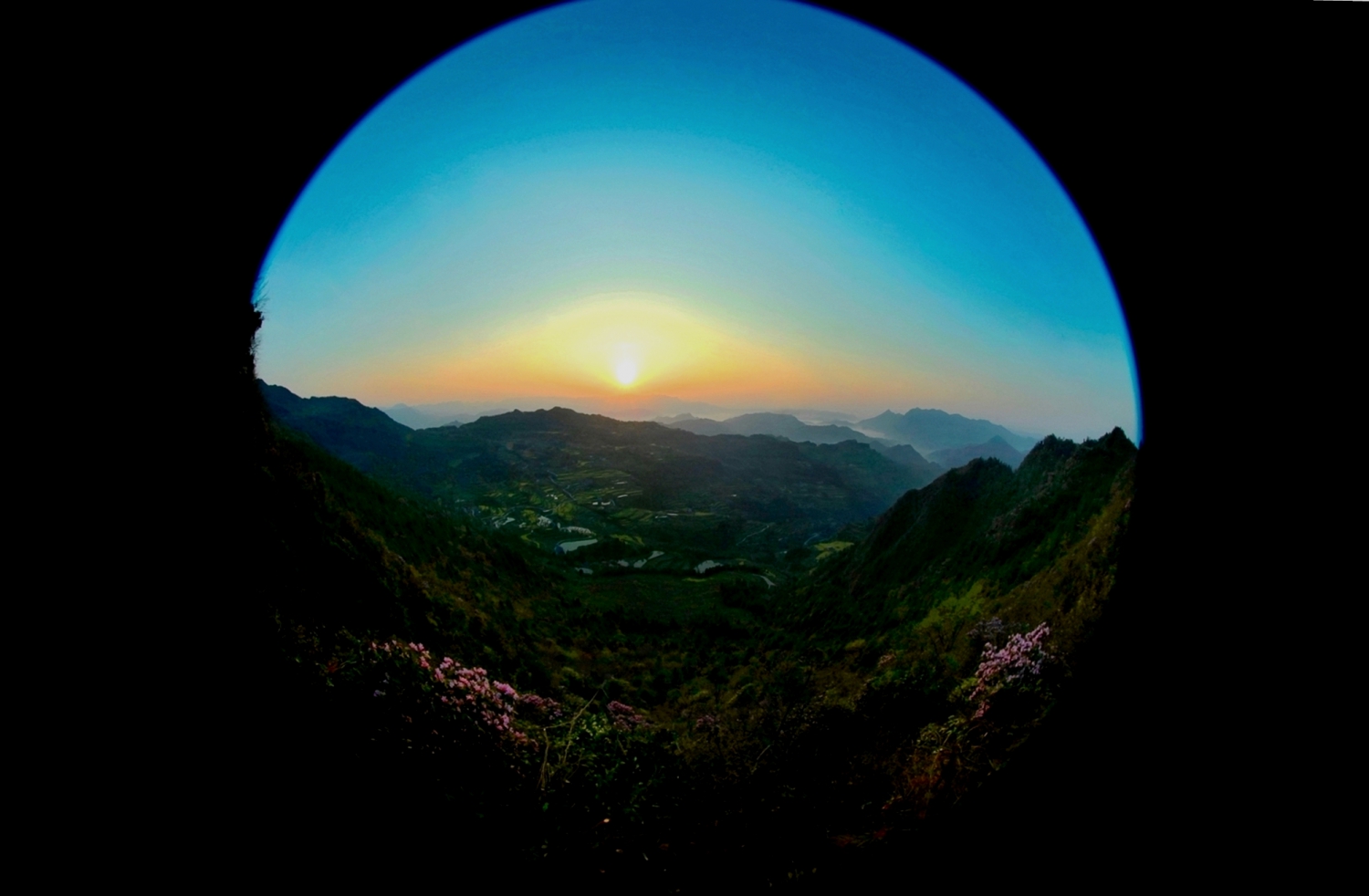 明珠龙凤