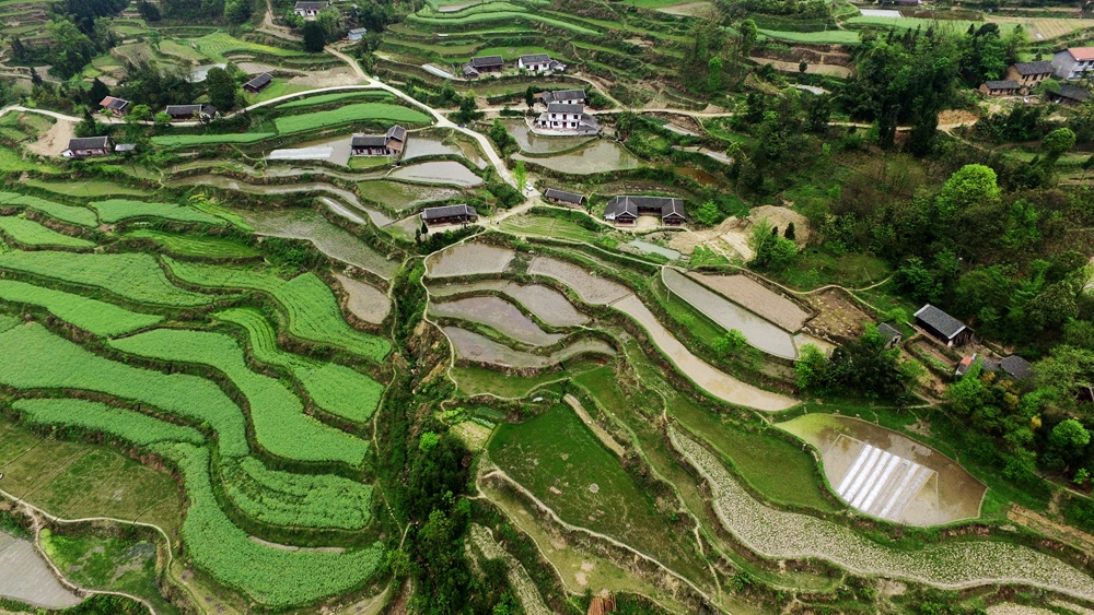 《垄上吟》