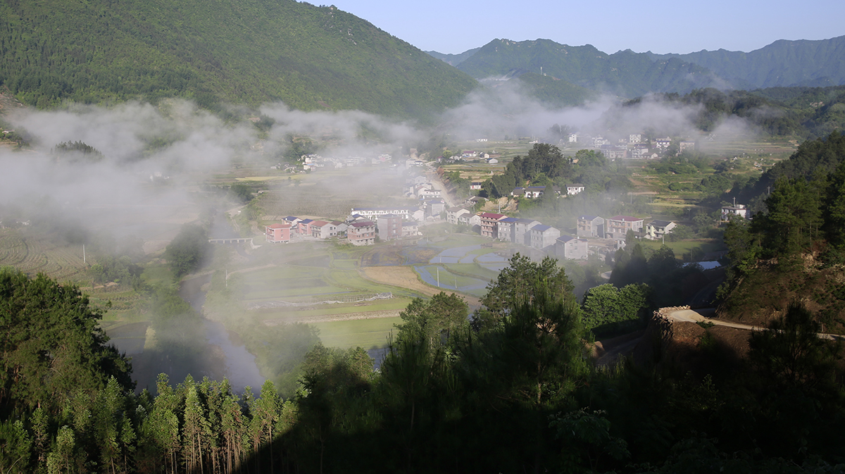 罗水晨景