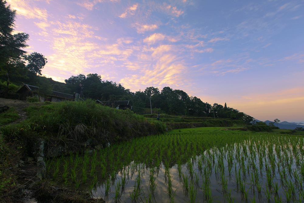龙凤风光无限好-3
