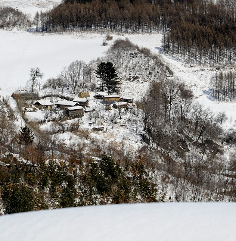 雪村松岭