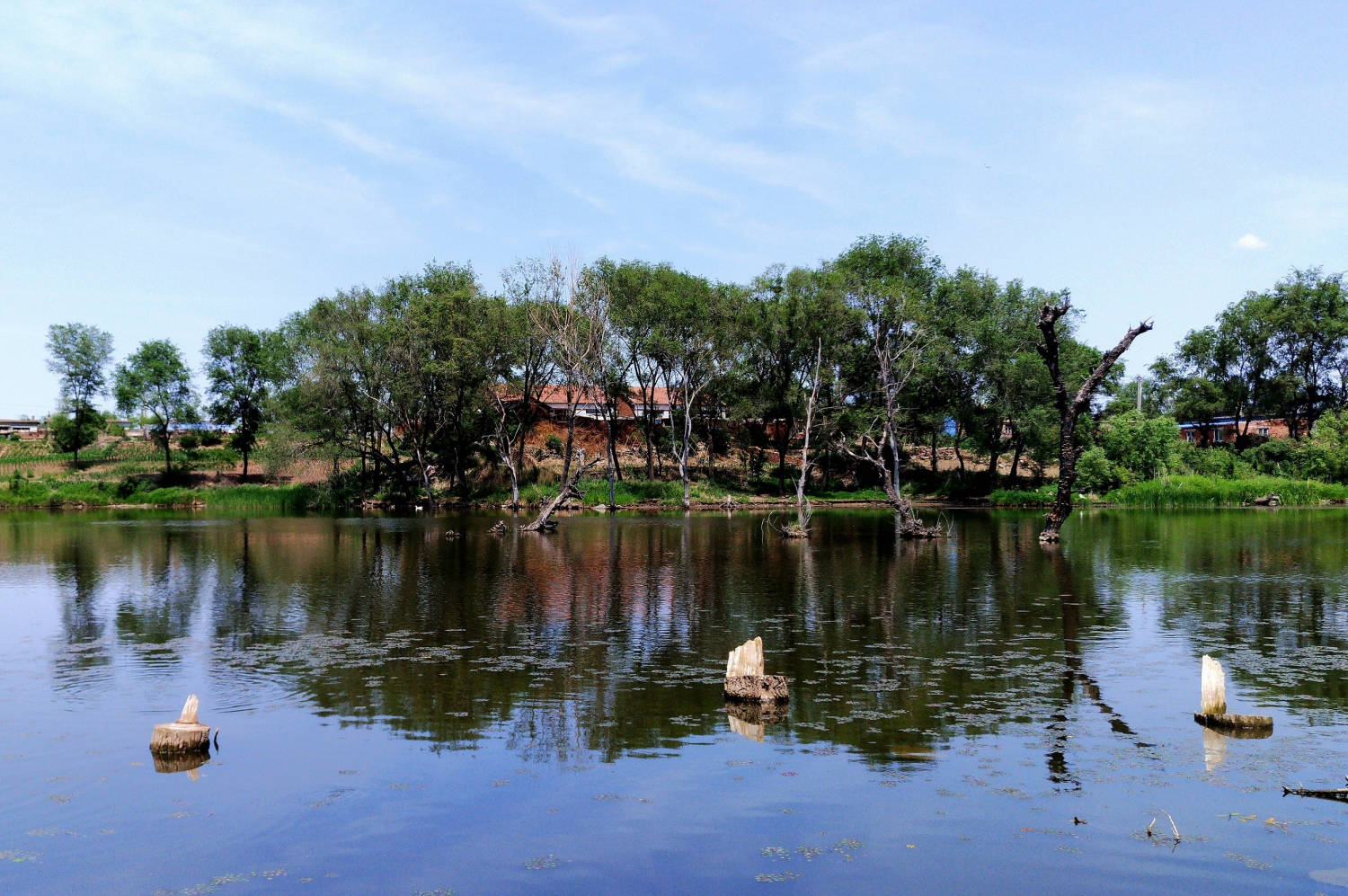 河上村