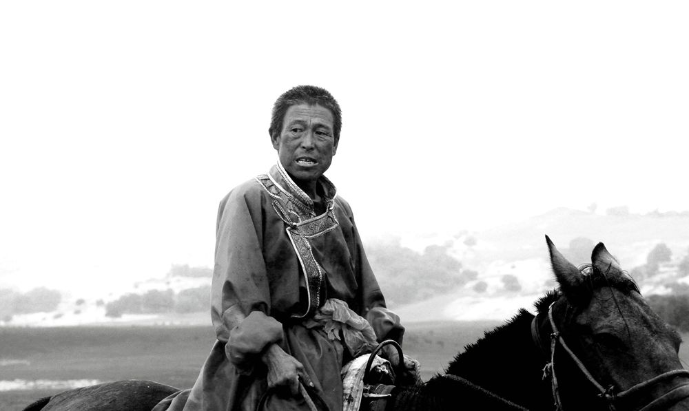 草原骑士