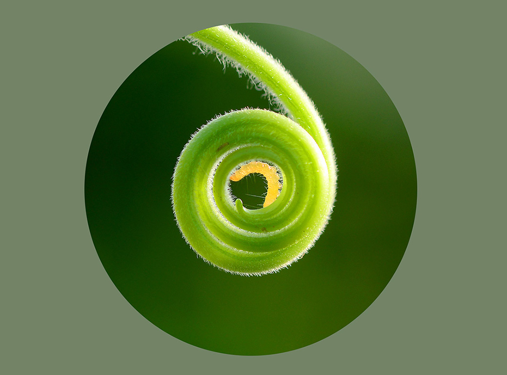 蜗居