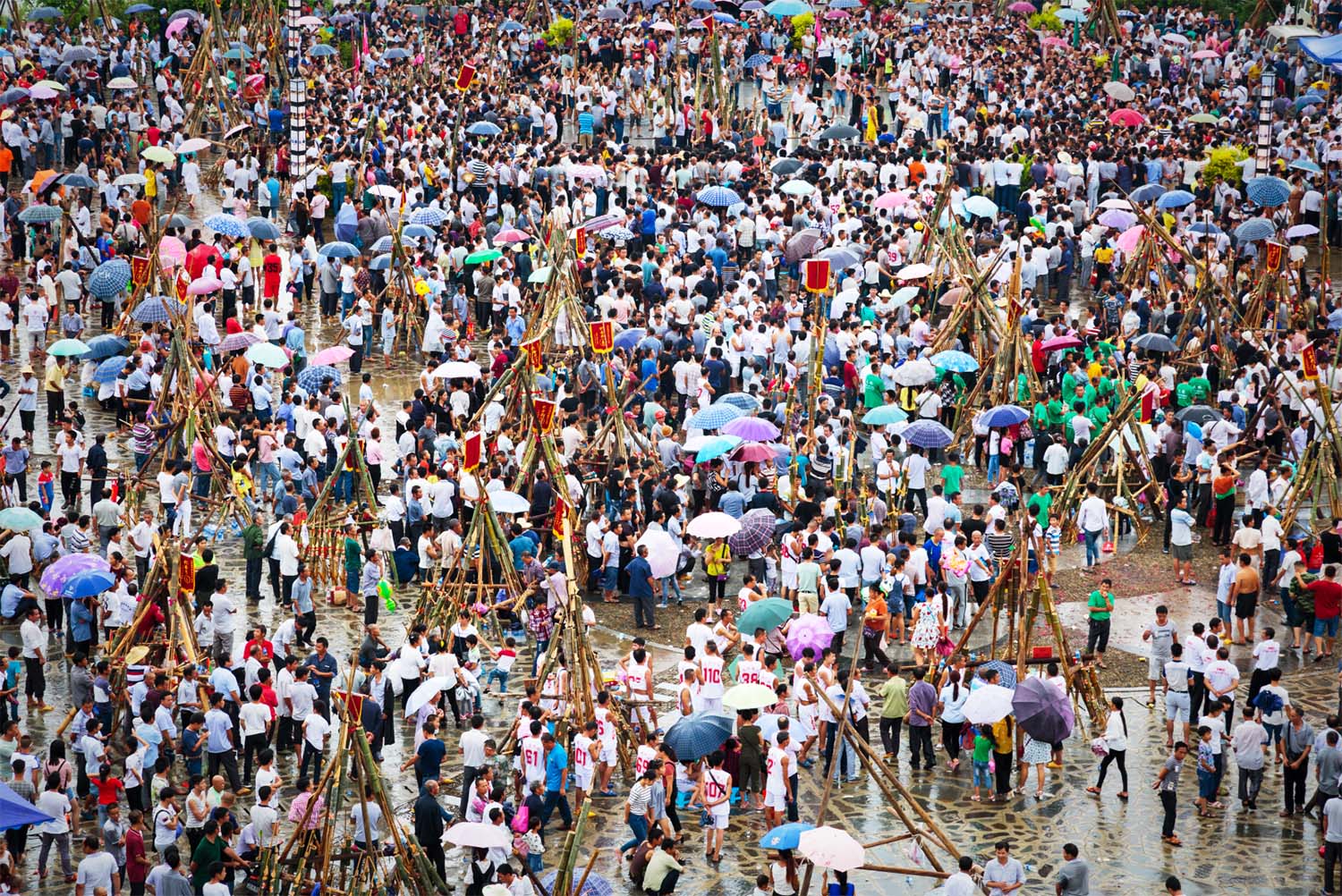 芦苼庆贺新米节