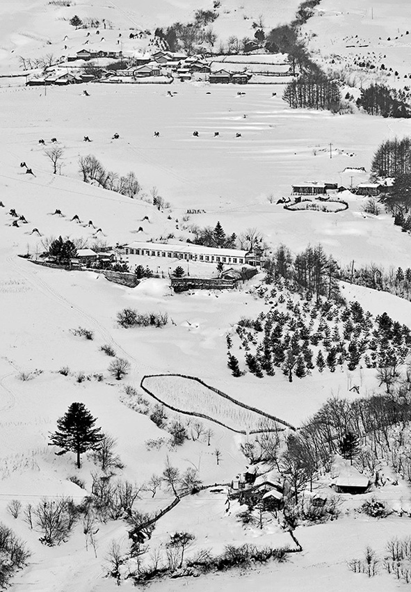 大雪松岭