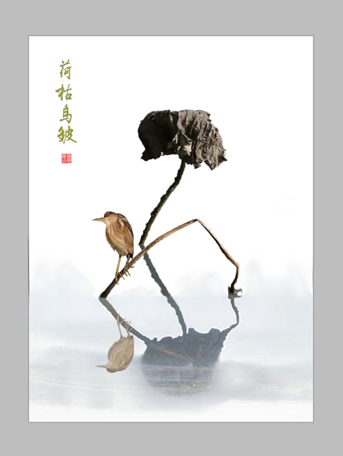 无题