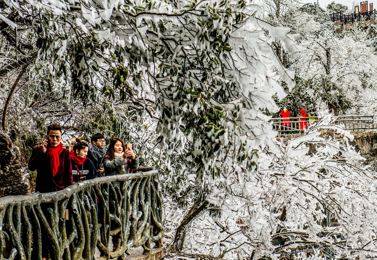 相看天门雪
