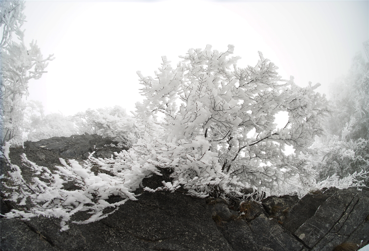 天门雪趣