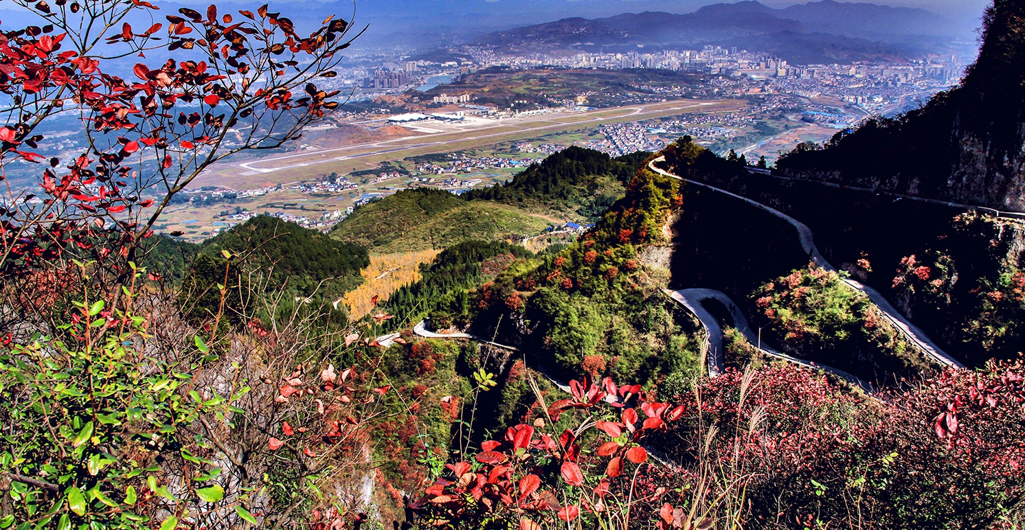 崇山红叶
