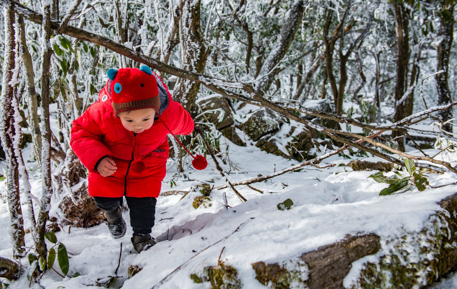 雪地童心