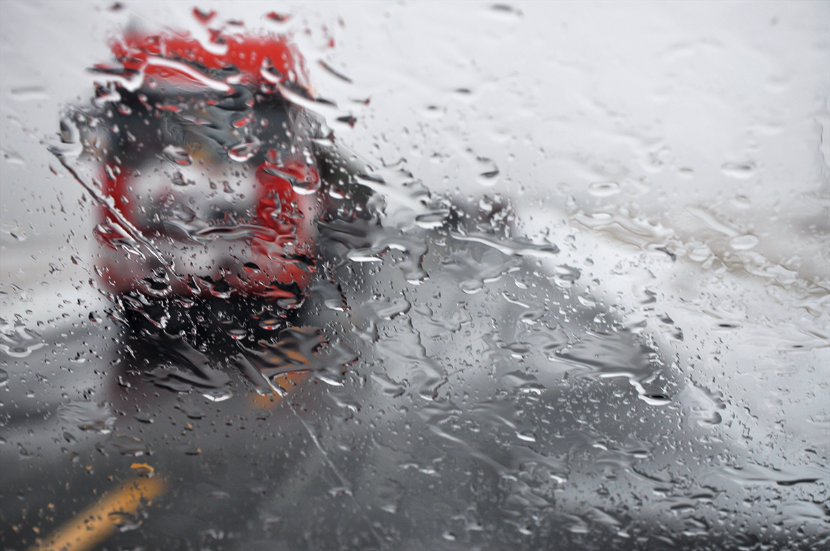 雨中行
