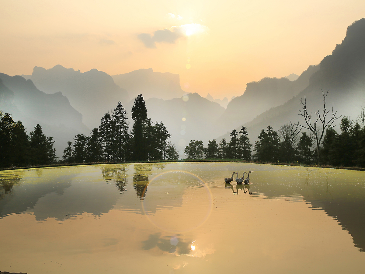 半坡夕景
