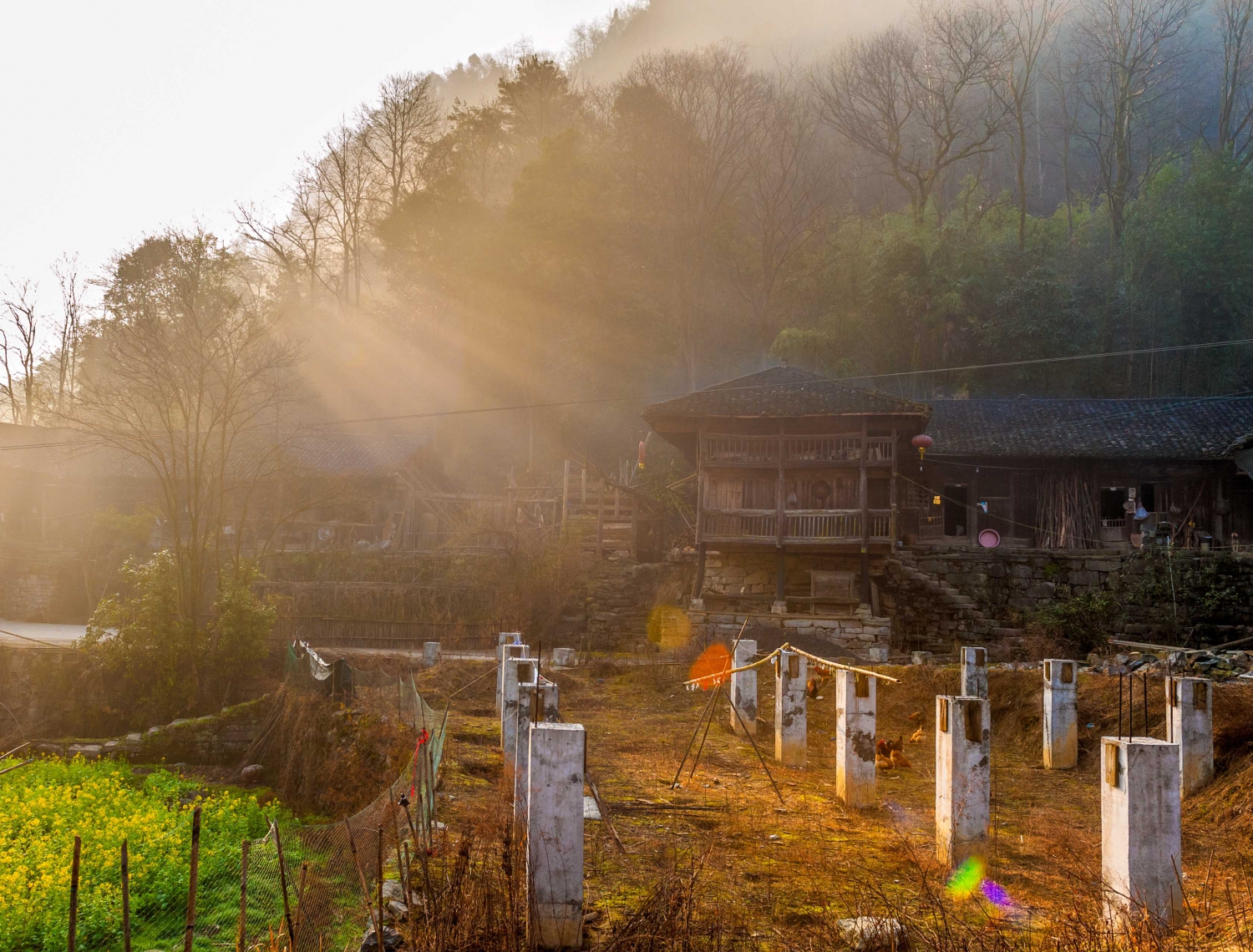 变革