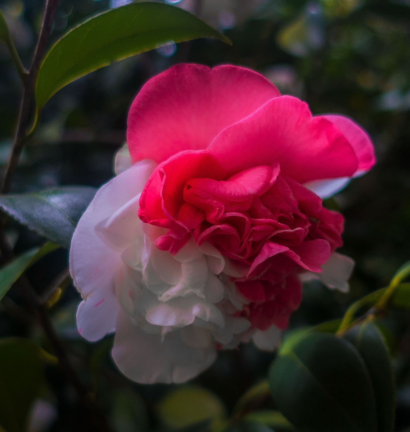 春暖花开