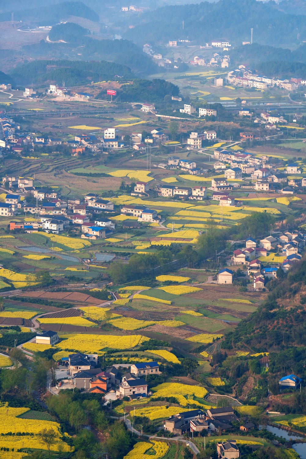 美丽新农村