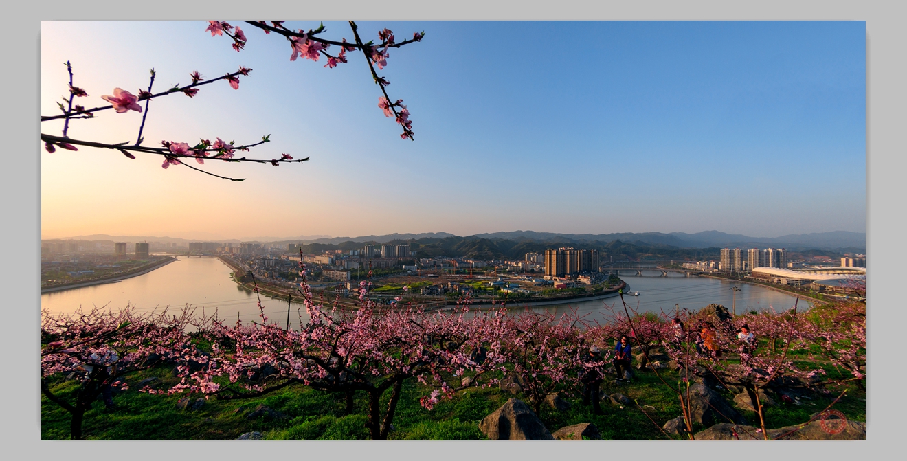 桃花盛开的季节