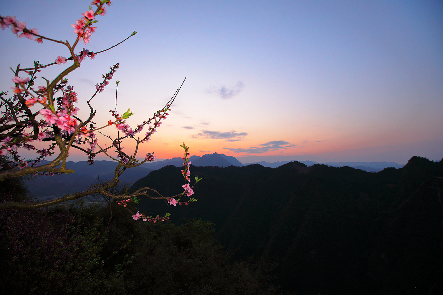 桃花夕照
