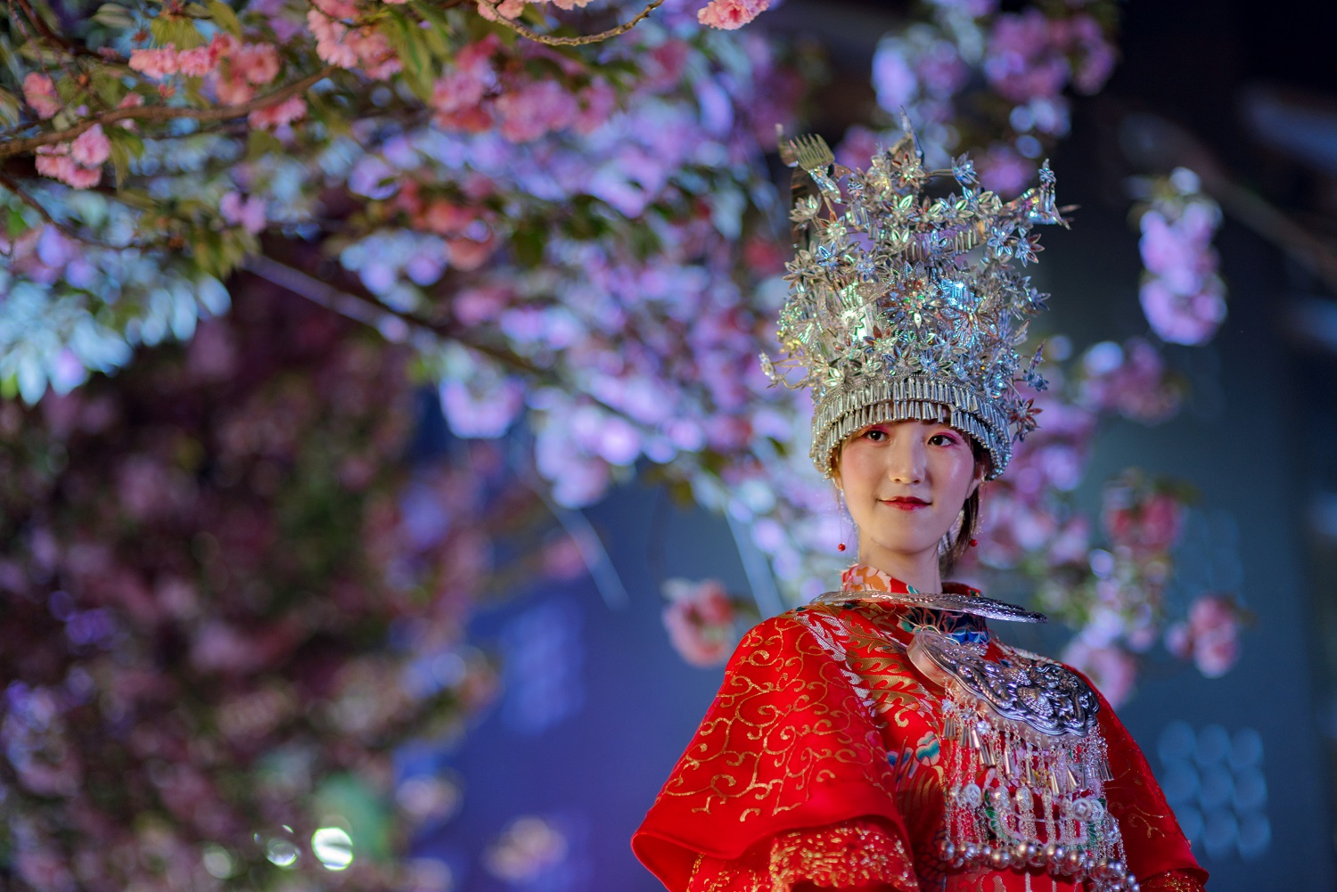 樱花女郎