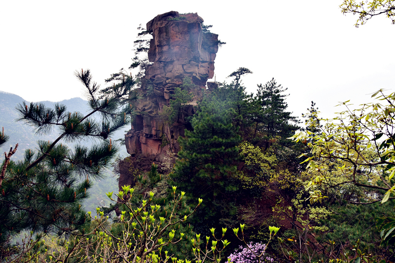 神鹰山【三】