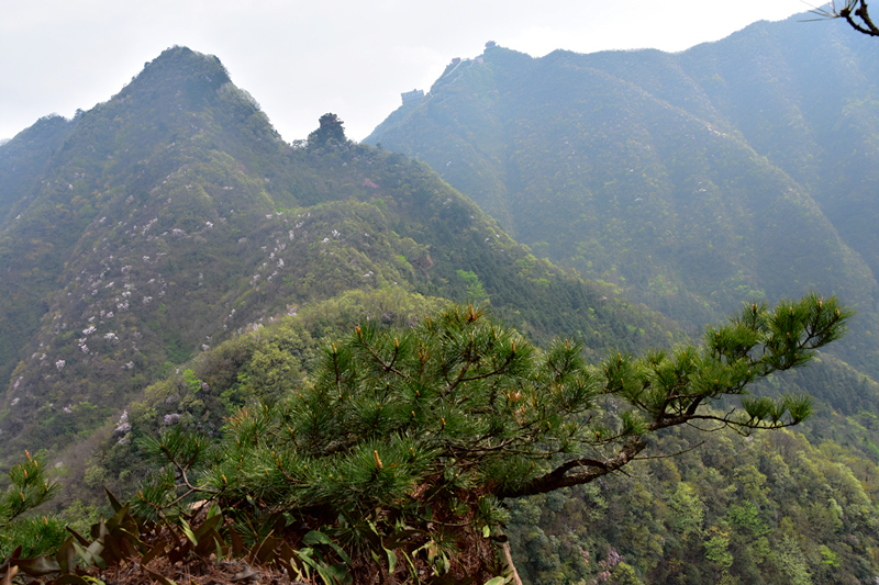 神鹰山【五】