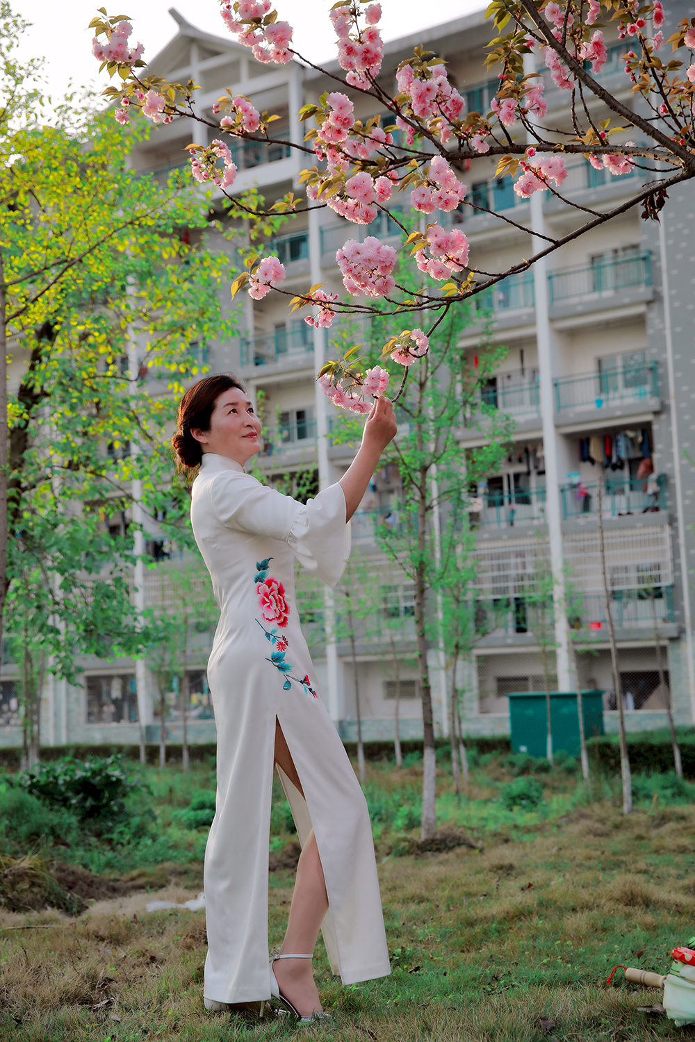 吉大樱花节2