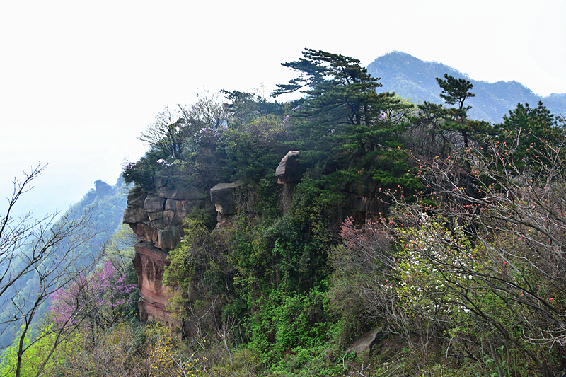 神鹰山【二】