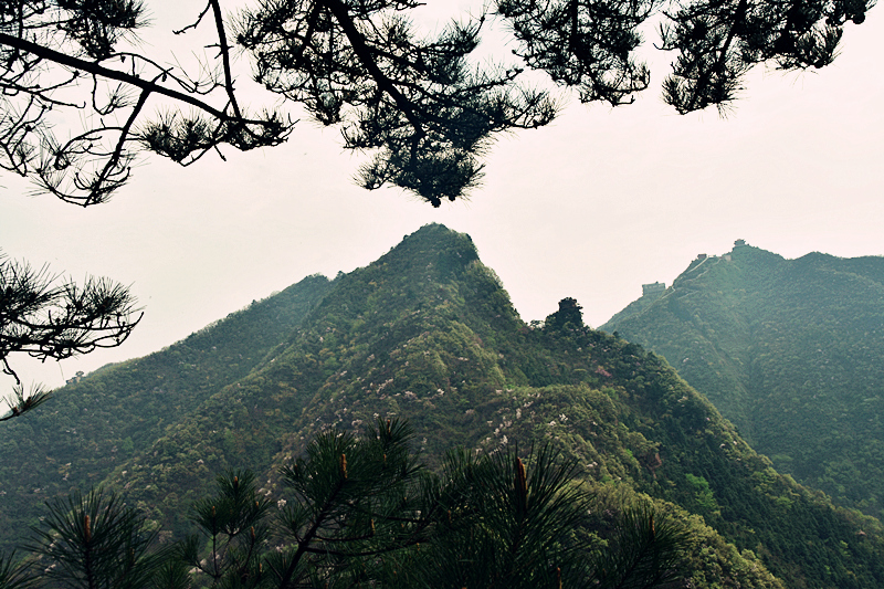 神鹰山【四】