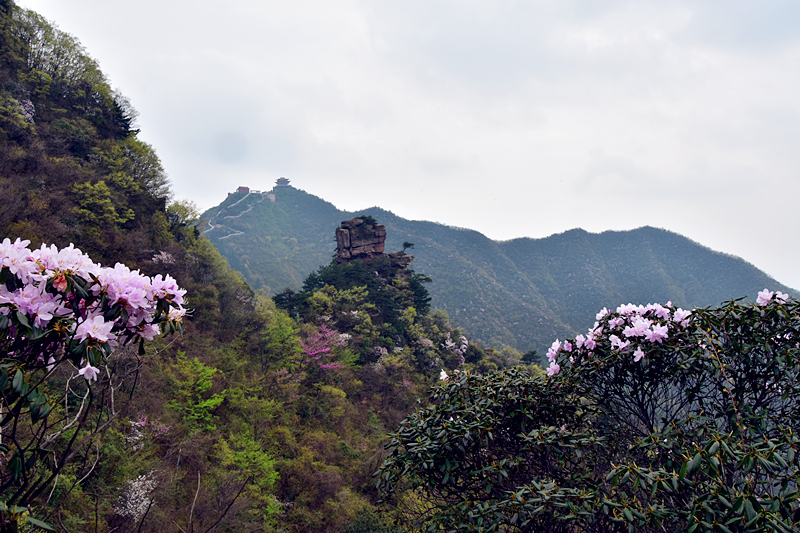 神鹰山【一】