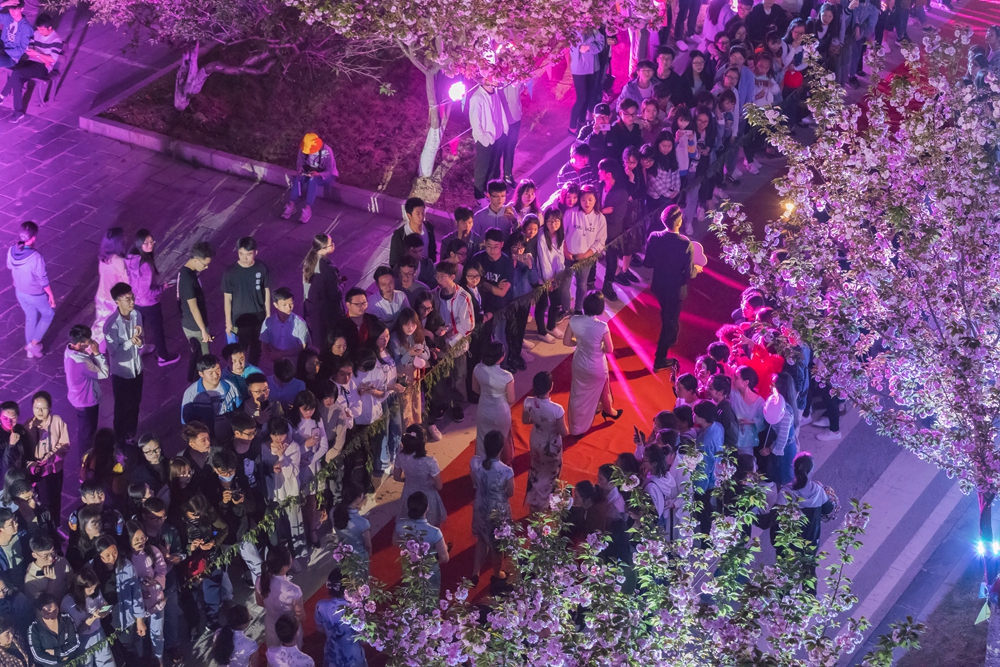 樱花树下的T台秀