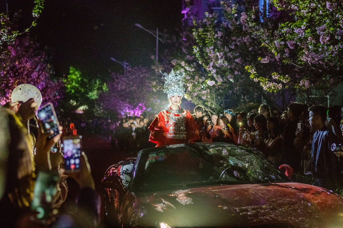 最耀眼的樱花仙子