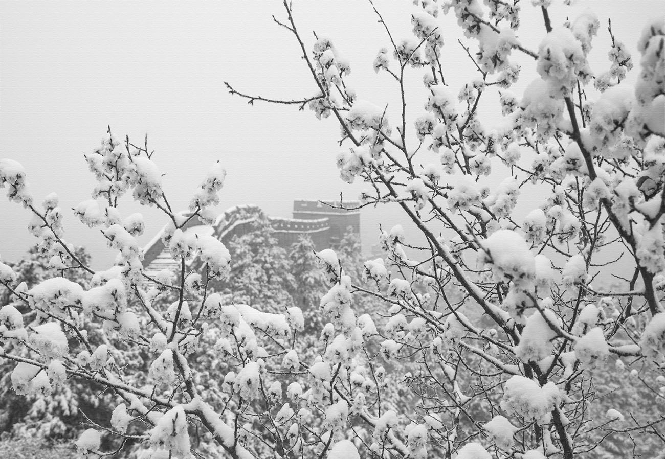 雪韵金山岭